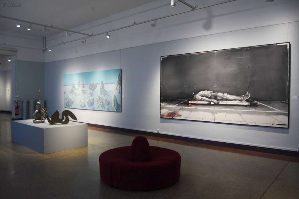 exposition musée de pau