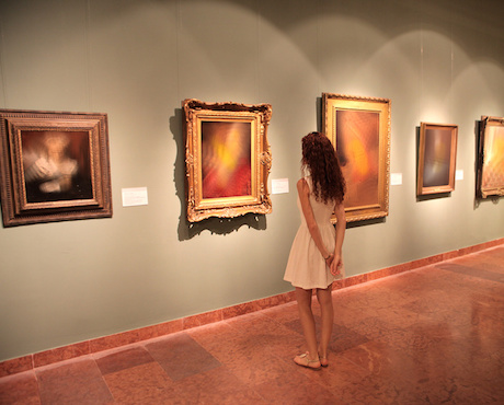 exposition musée de pau