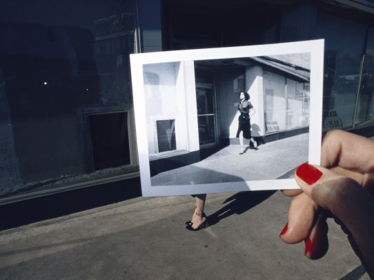 exposition musée montréal