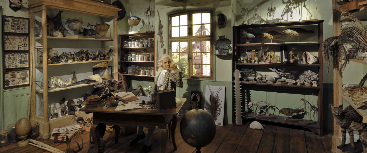 tarif musée strasbourg