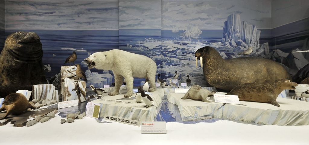 tarif musée strasbourg