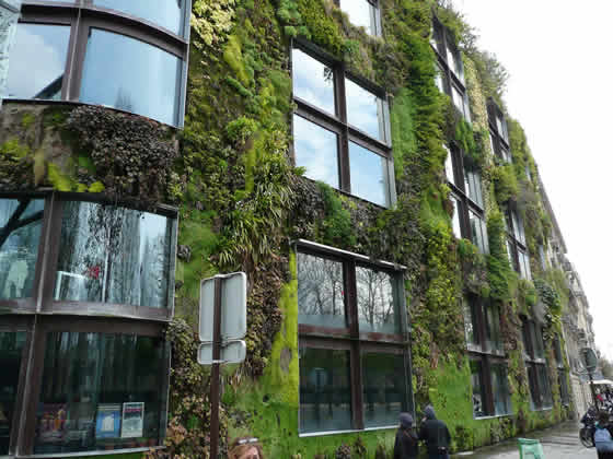 the musee du quai branly in paris