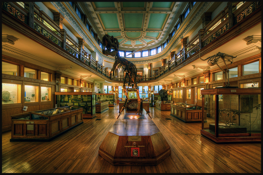exposition musée montréal
