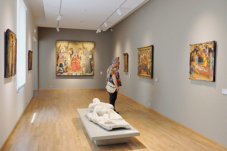 exposition musée rigaud perpignan