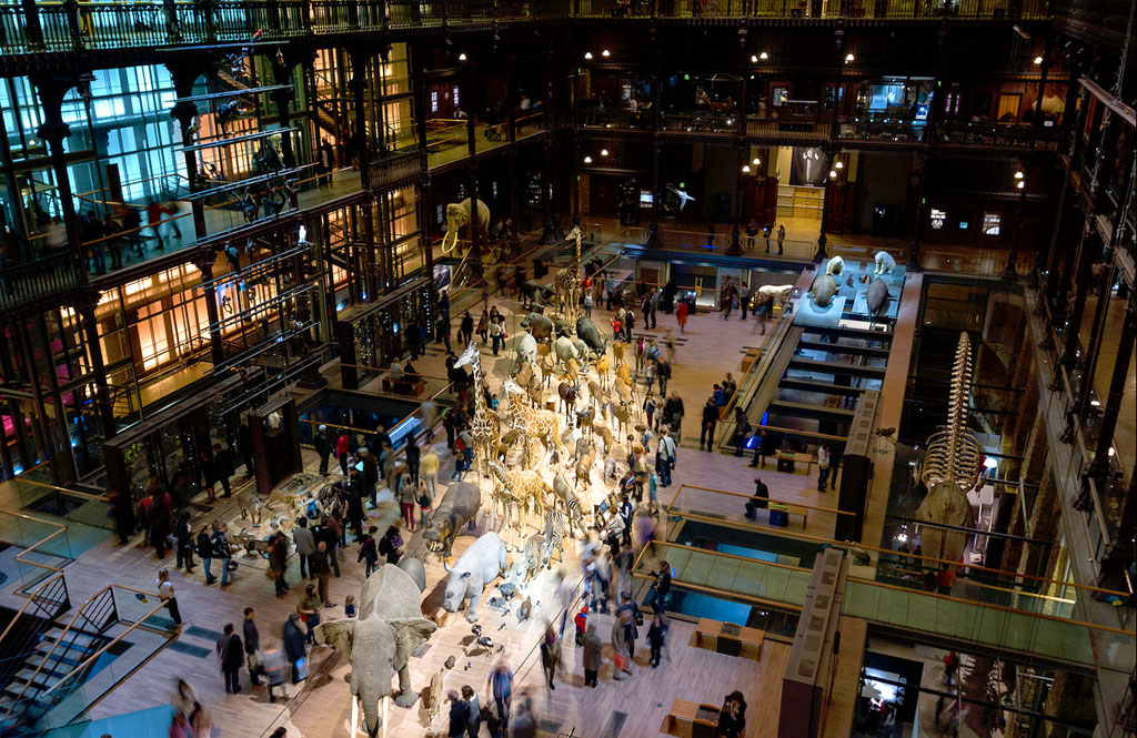 tarif musée histoire naturelle paris