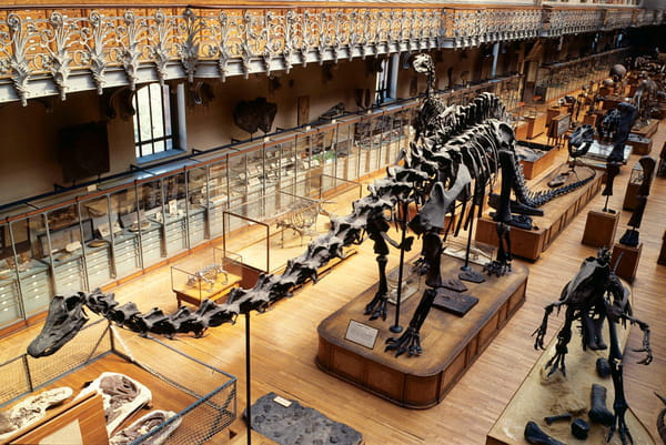tarif musée histoire naturelle paris