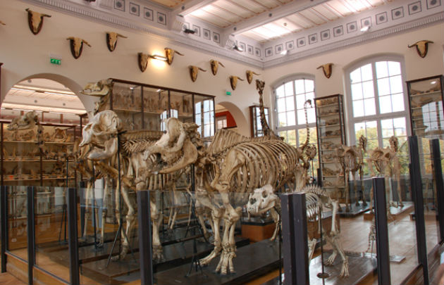 tarif musee fragonard