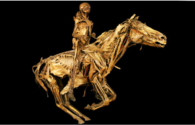 tarif musee fragonard