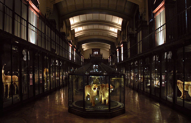 tarif musée histoire naturelle paris
