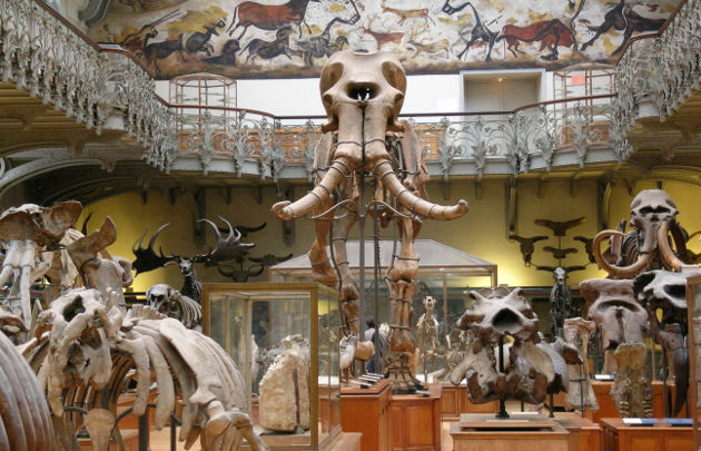 musée de histoire naturelle