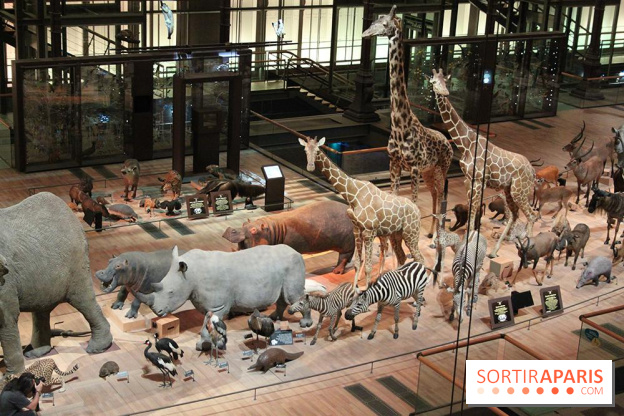 musée de histoire naturelle