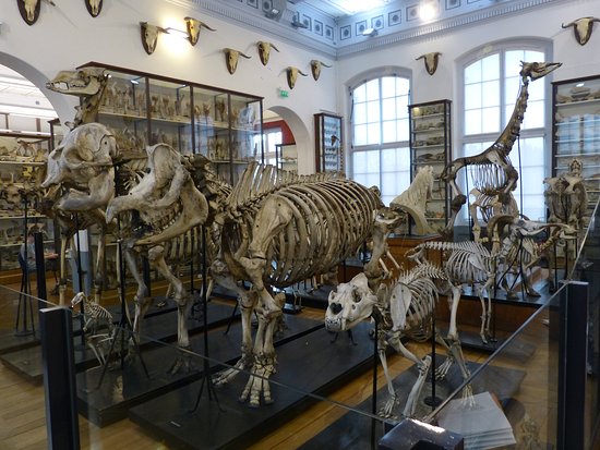 tarif musee fragonard