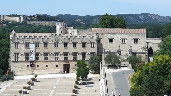 exposition musée du petit palais avignon