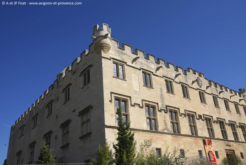 exposition musée du petit palais avignon