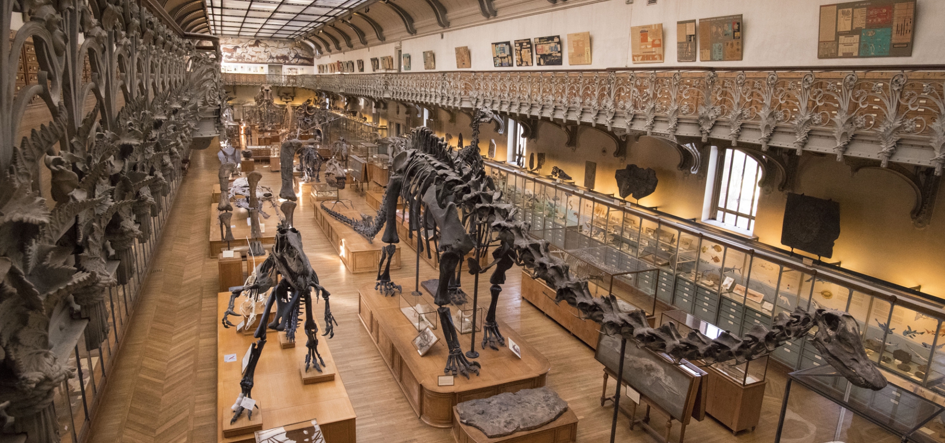 tarif musée histoire naturelle paris