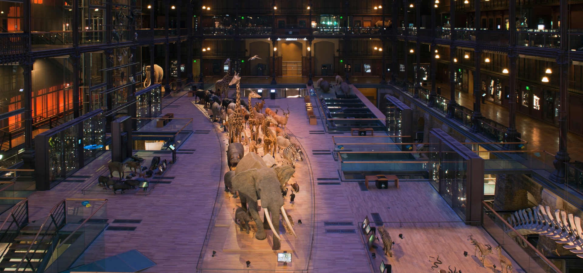 tarif musée histoire naturelle paris