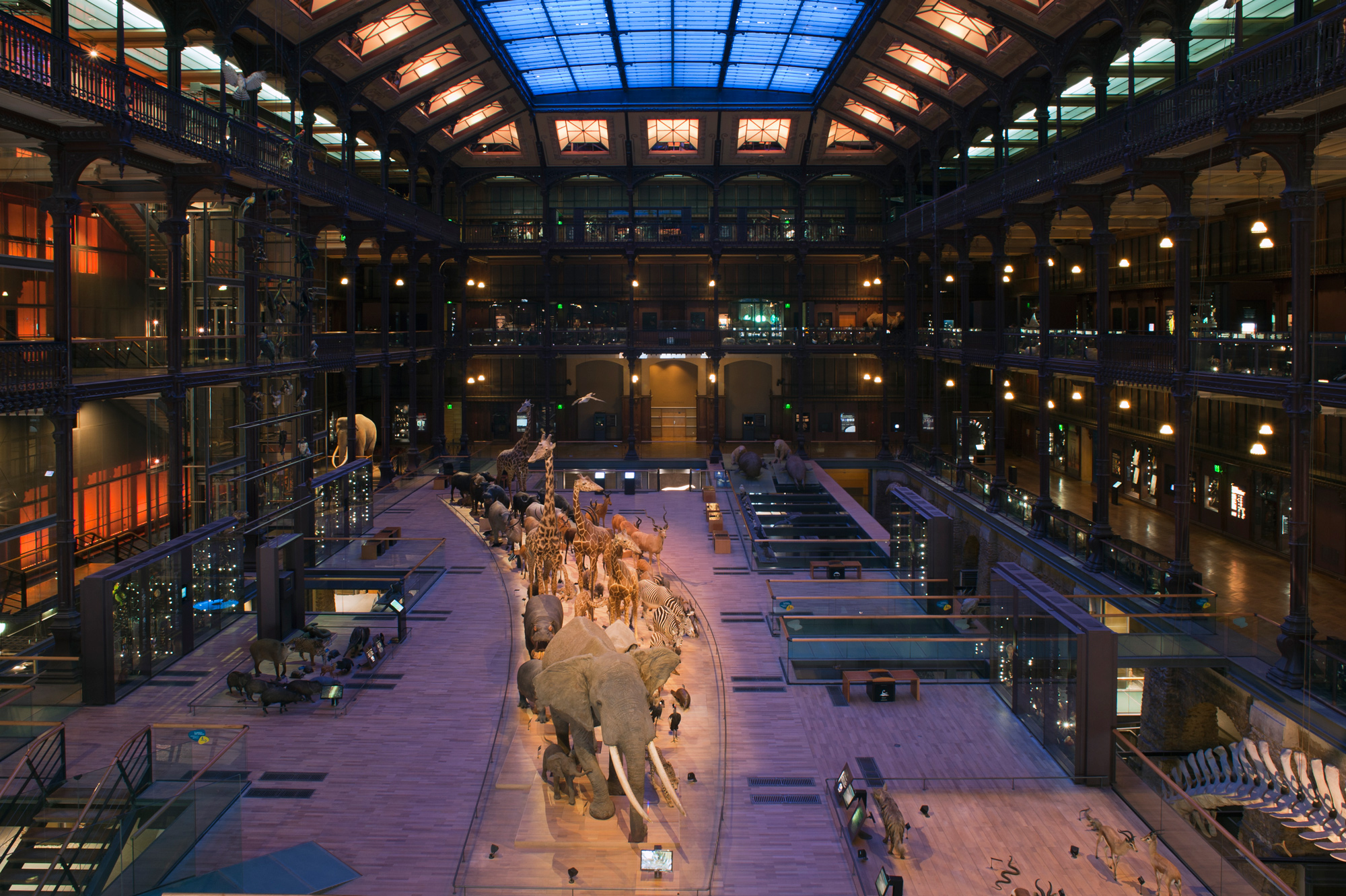 tarif musée histoire naturelle paris