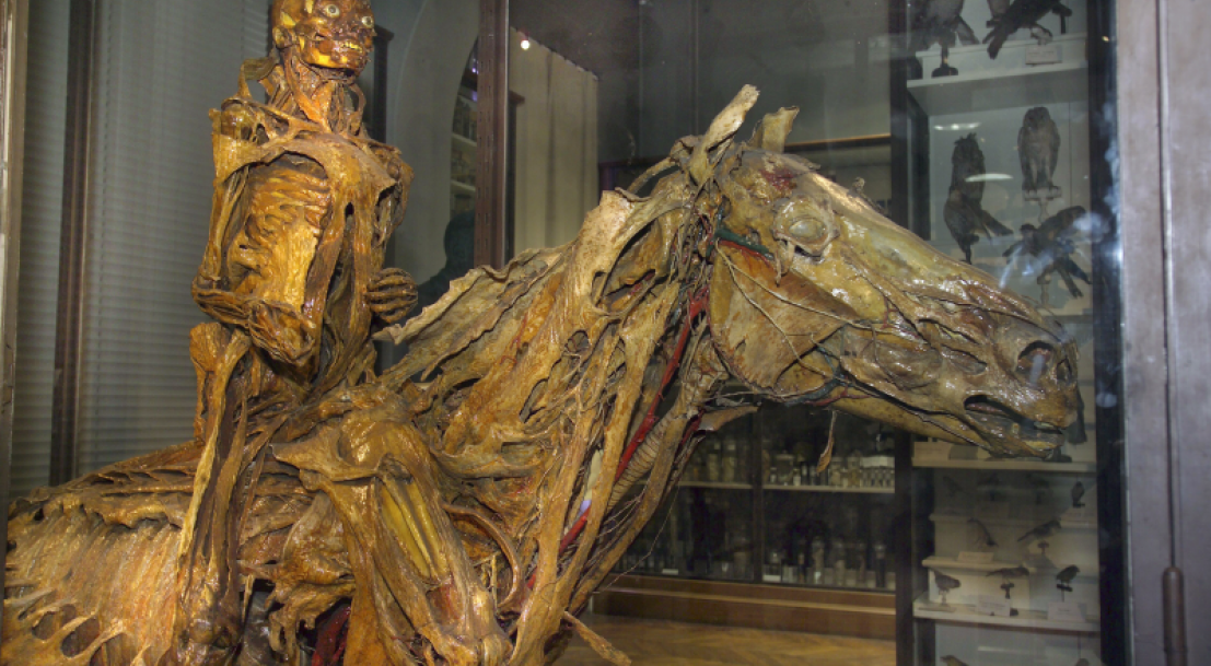 tarif musee fragonard