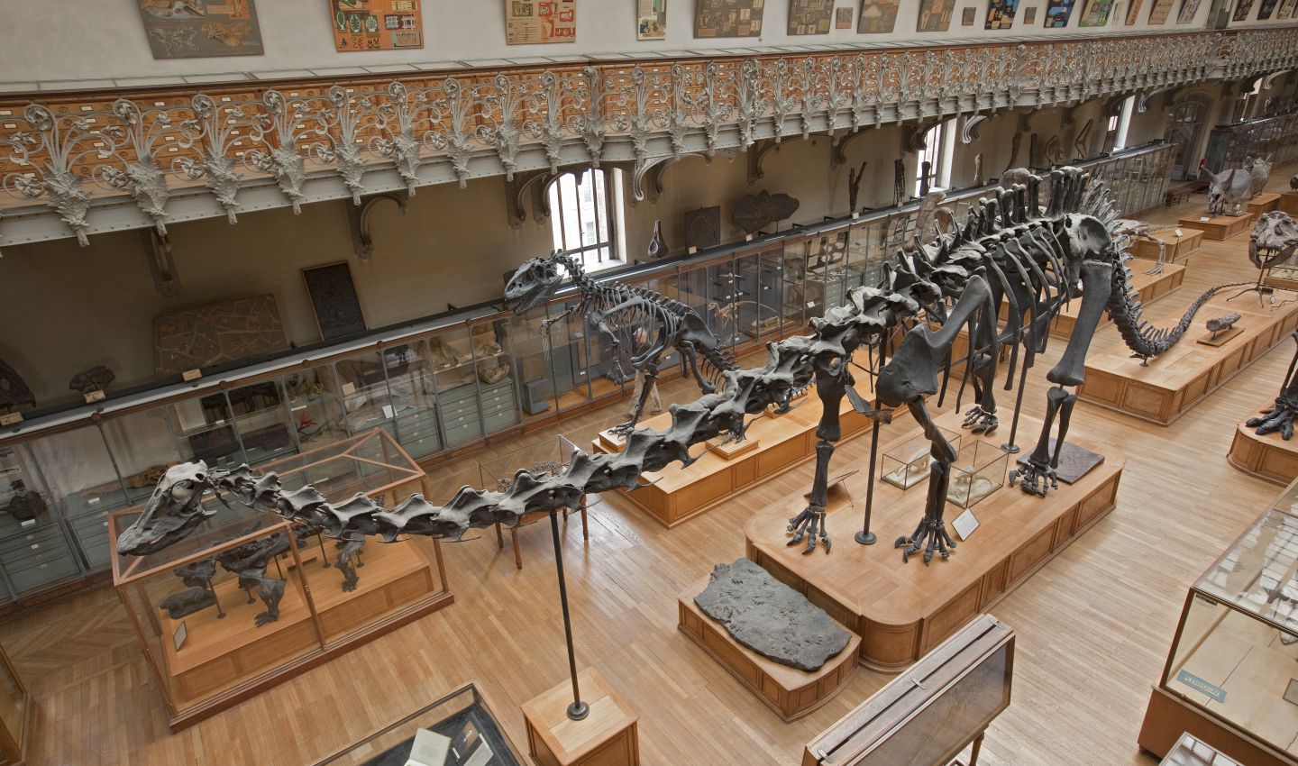 musée de histoire naturelle