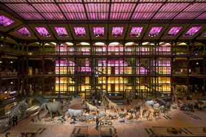 tarif musée histoire naturelle paris