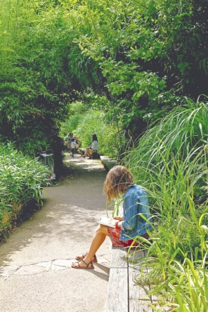 musée du quai branly horaires