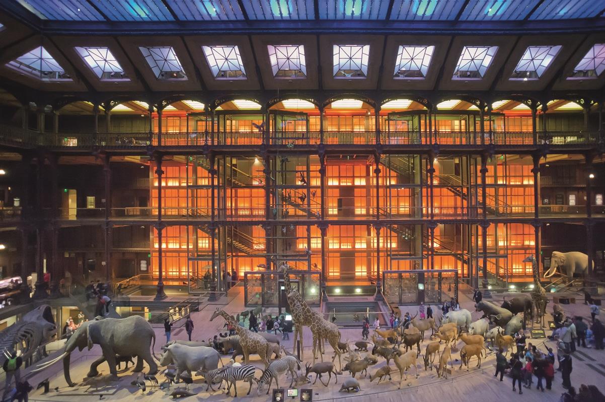 tarif musée histoire naturelle paris
