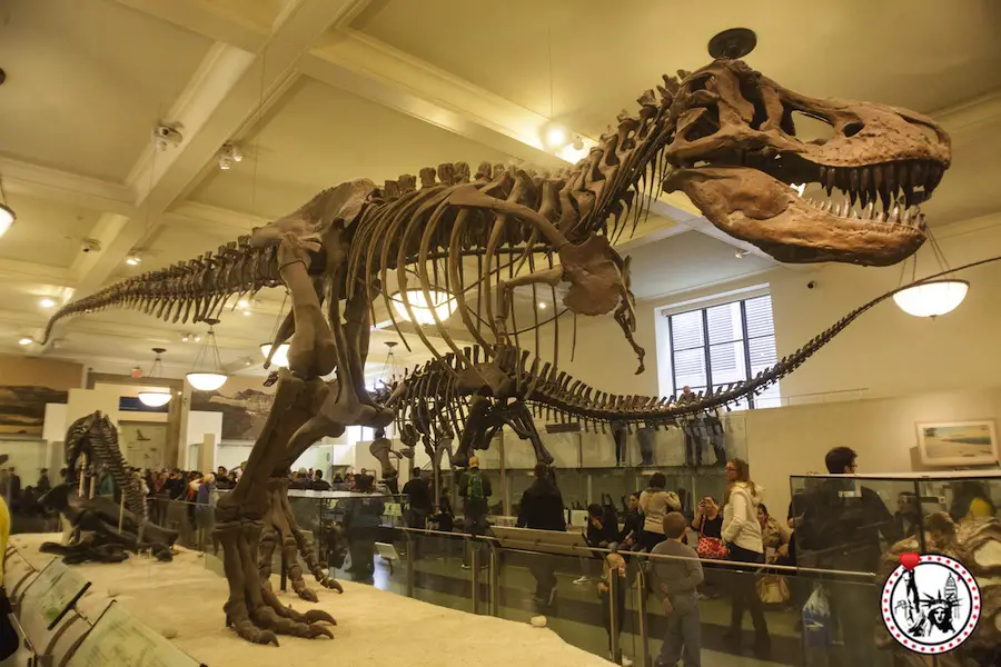 tarif musée américain d'histoire naturelle new york