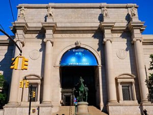 tarif musée américain d'histoire naturelle new york