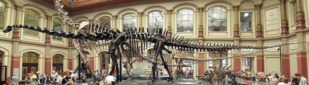 musée de histoire naturelle