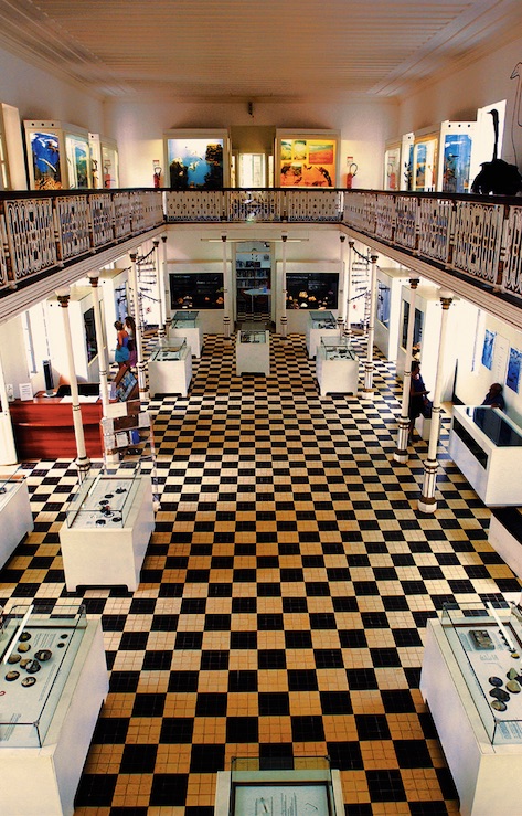 musée île de la réunion