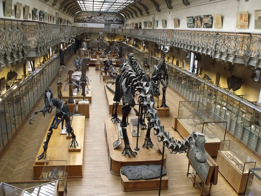 musée de histoire naturelle