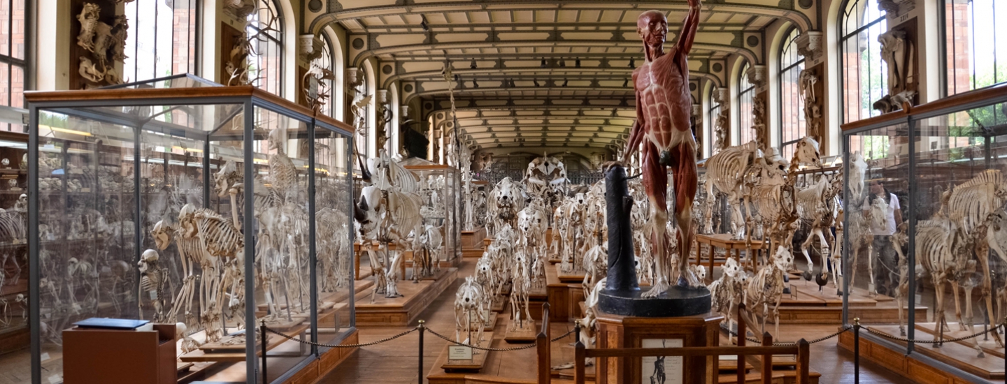 tarif musée histoire naturelle paris