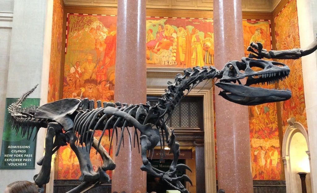 tarif musée américain d'histoire naturelle new york