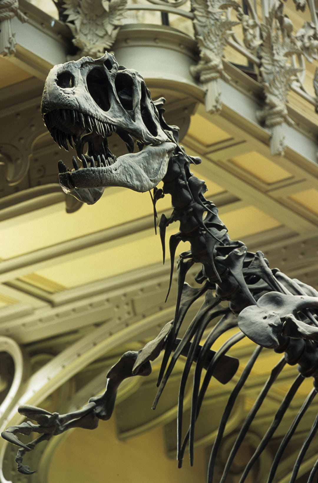 tarif musée histoire naturelle paris